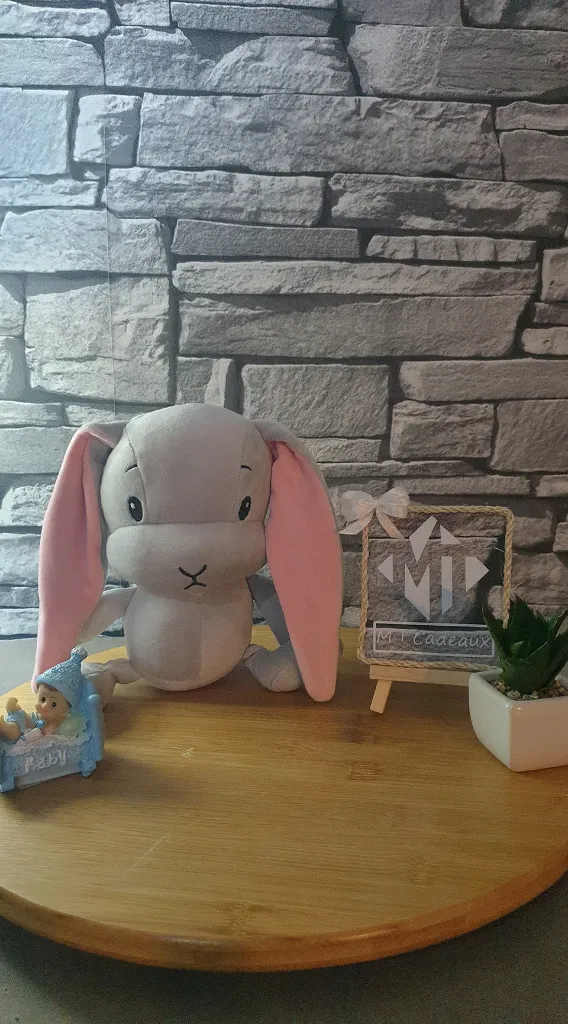 lapin gris-1619887677174.webp