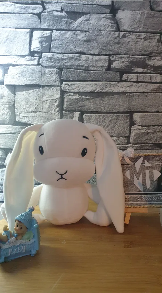 lapin Blanc-1619887677109.webp